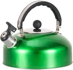 2L Stainless Steel Whistling Kettle for Stovetop, Electric or Induction Hob, Camping Tea Pot with Easy-Grip Handle(Green)