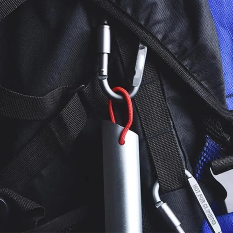 2PCS Aluminum Locking Carabiner Snap Hook D-Shape Carabiner Outdoor Tools Carabiner(Gray)