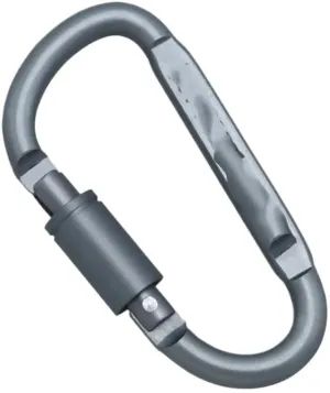 2PCS Outdoor D-Ring Locking Carabiner D-Ring Keychain Clip Climbing Carabiner Camping Accessories Carabiner