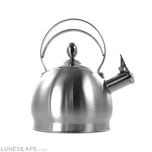 3 Quart Stainless Steel Whistling Teapot Kettle with Flip Spout and