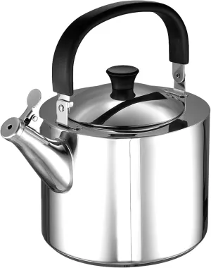Bert Flute Kettle with Swivel Handle, Water Kettle, Stainless Steel, 18 cm