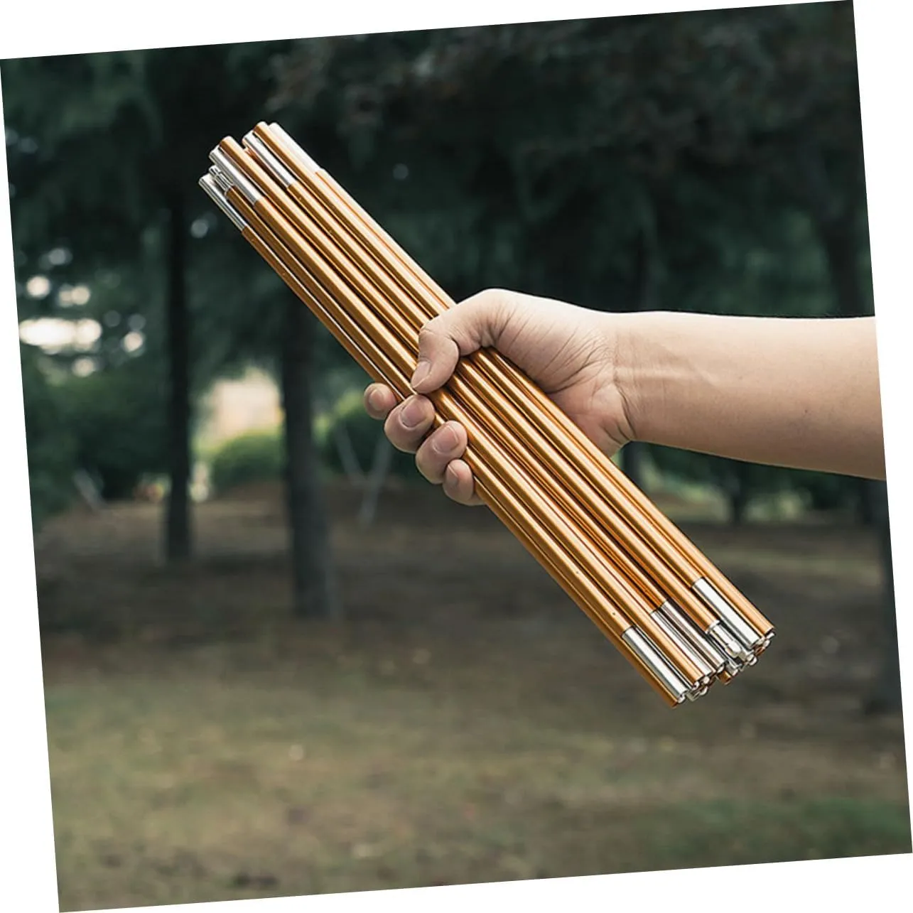 BESPORTBLE Collapsible Tent Poles Lightweight Canopy Support for Camping Portable Folding Design Heavy Duty for