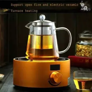 Borosilicate Teapot with Infuser