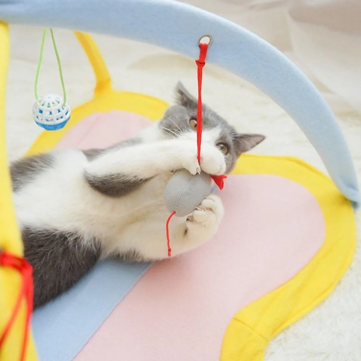 Breathable Pet Hammock Cat Bed with Fun Cartoon Bell Toy Cat Tent Supplies