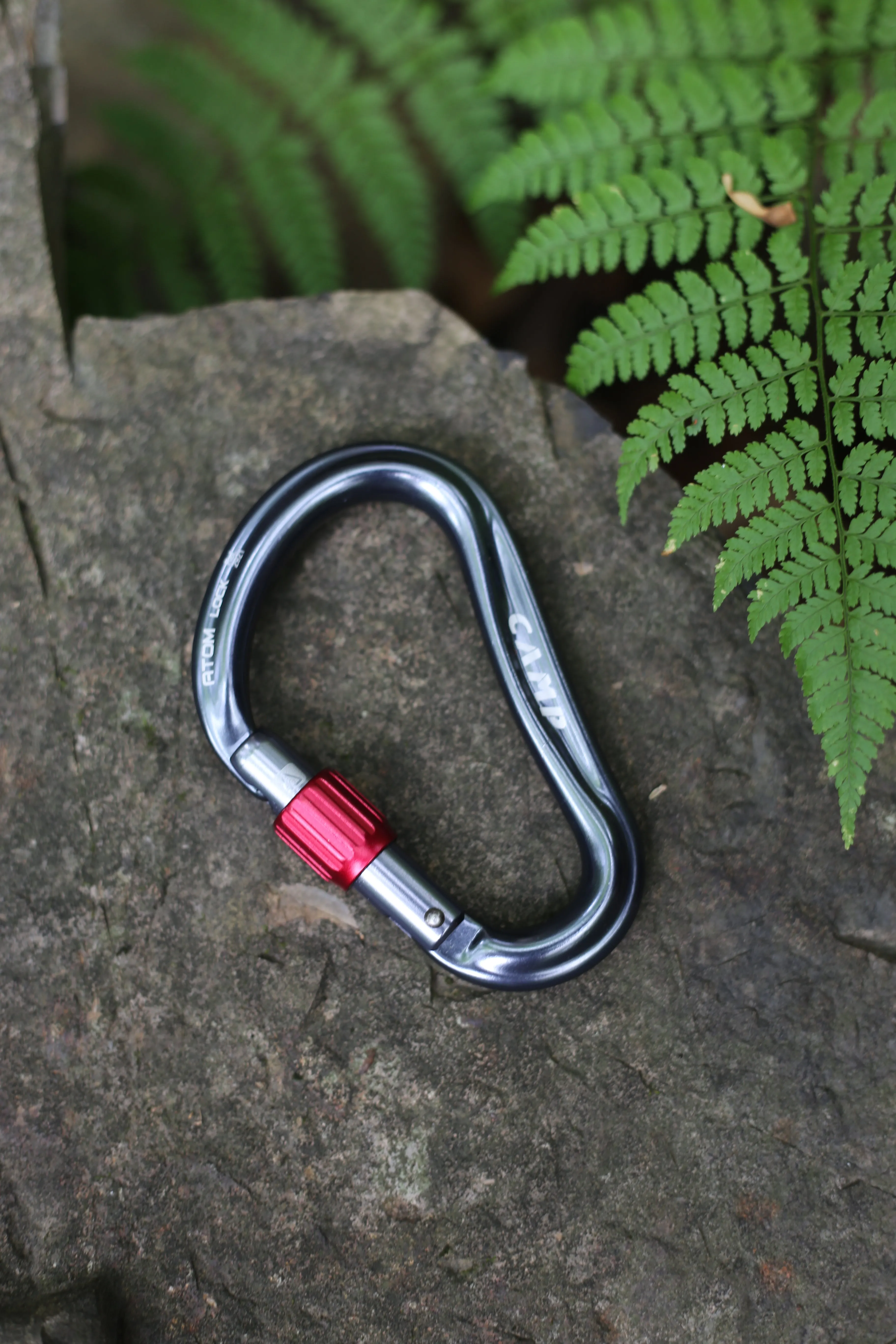 Camp Atom Lock - HMS Pear Carabiner