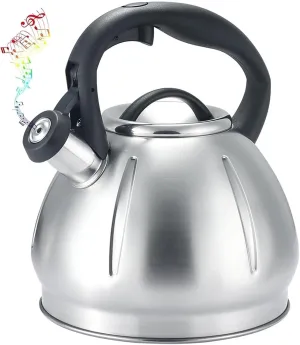 Camping Teapot, Tea Kettle Stovetop, 304 Stainless Steel Whistling Tea Pots for Stove Top, with Anti-hot Ergonomic Handle, Suitable for All Heat Sources
