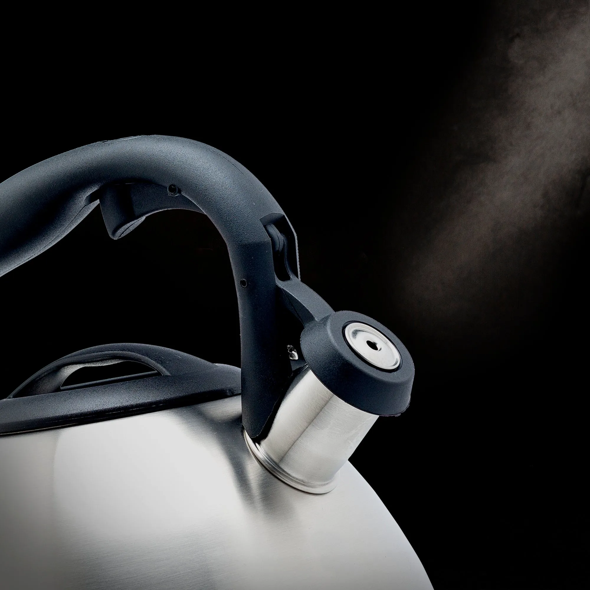 Cascade Whistling Kettle, 3 Qt, Flip-Up Spout, Fast Heating - Primula