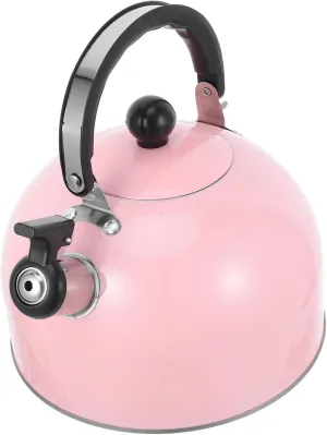 Ciieeo Stainless Steel Whistling Teapot with Ergonomic Handle Non Electric Kettle for Efficient Heating for Home Camping Travel Use Loud Whistle Alerts When Water Boils