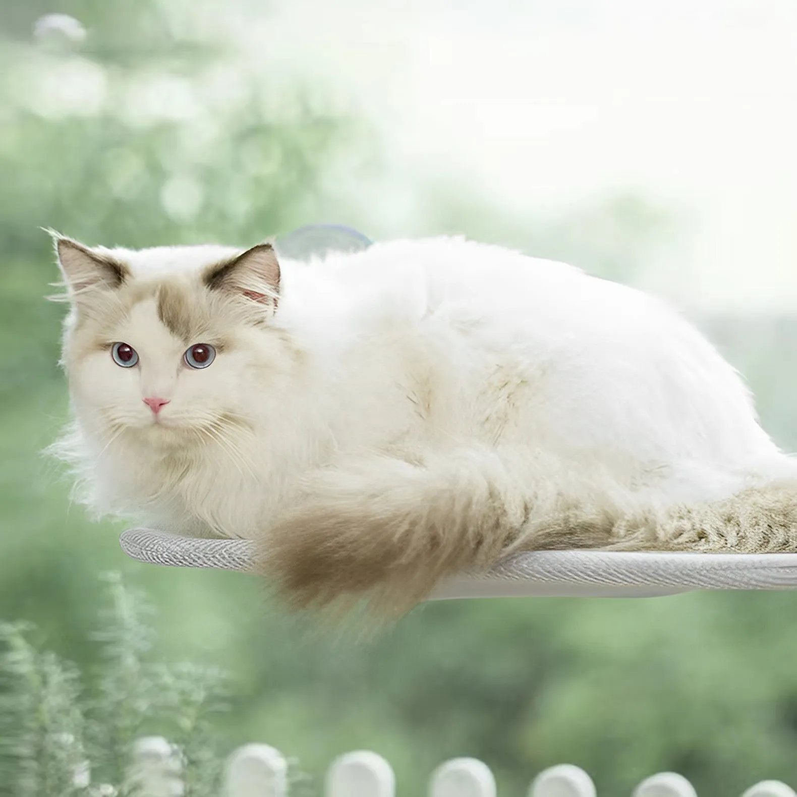 Classic Foldable Cat Hammock