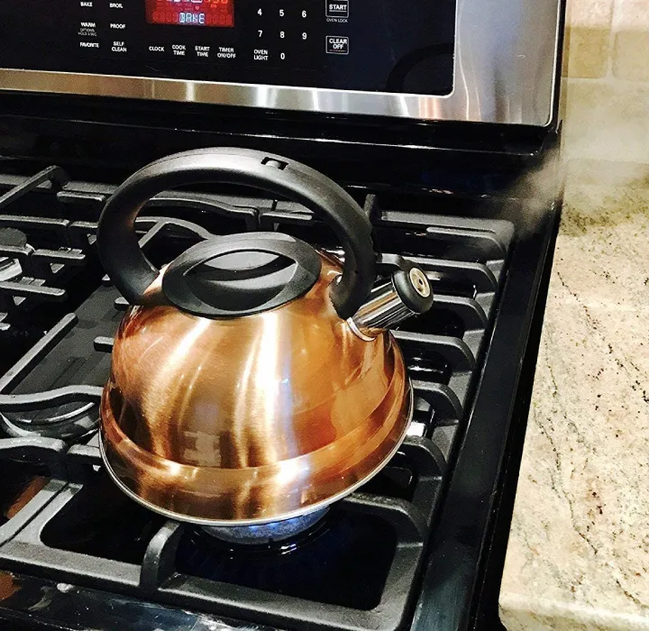 Cool Grip Stainless Steel 3L Whistling Tea Kettle