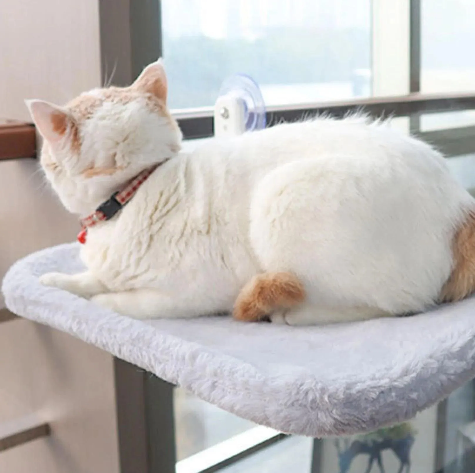 Cozy Cat Hammock