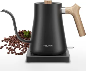 Fabuletta Gooseneck Electric Water Kettle, 3 Minutes Quick Heating, 1200W Pour Over Kettle for Coffee & Tea, Precise Water Flow Control Hot Water Boiler, 100% Stainless Steel Water Boiler