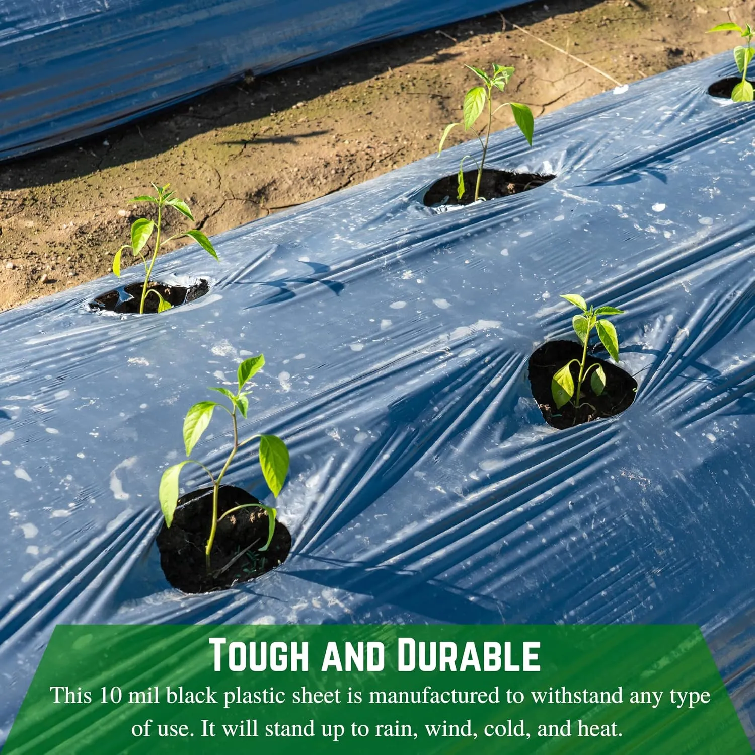 Farm Plastic Supply - Black Plastic Sheeting - 10 mil - (10' x 100') - Black Plastic Tarp, Polyethylene Vapor Barrier Plastic Sheeting, Black Painters Tarp, Roll of Heavy Duty Plastic