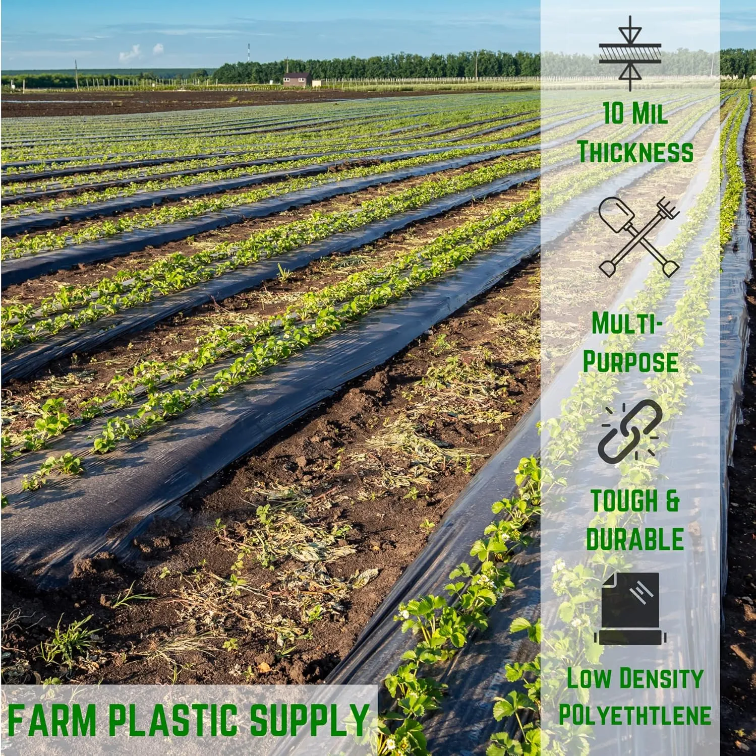 Farm Plastic Supply - Black Plastic Sheeting - 10 mil - (10' x 100') - Black Plastic Tarp, Polyethylene Vapor Barrier Plastic Sheeting, Black Painters Tarp, Roll of Heavy Duty Plastic