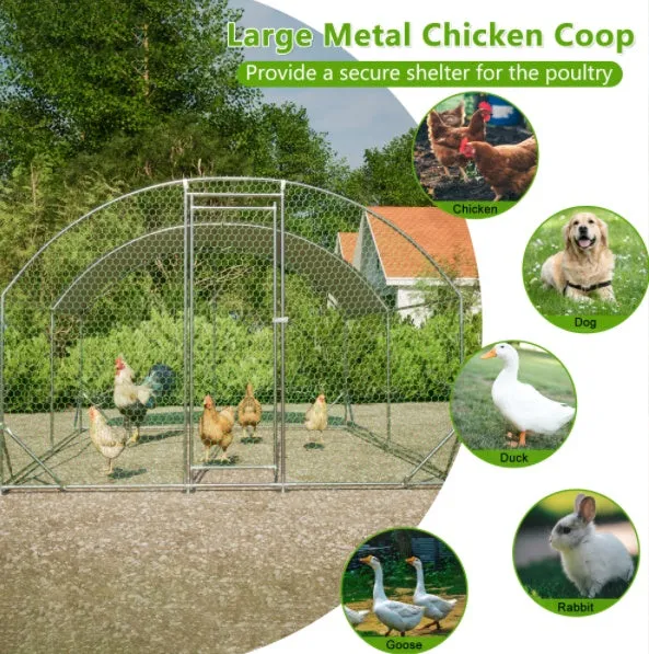 Foot Popular pick Chicken 10x13 Coop Dome Endless choices