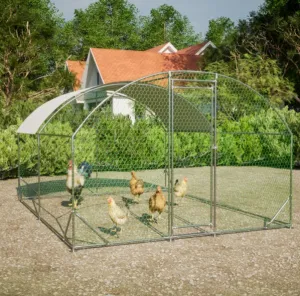 Foot Popular pick Chicken 10x13 Coop Dome Endless choices