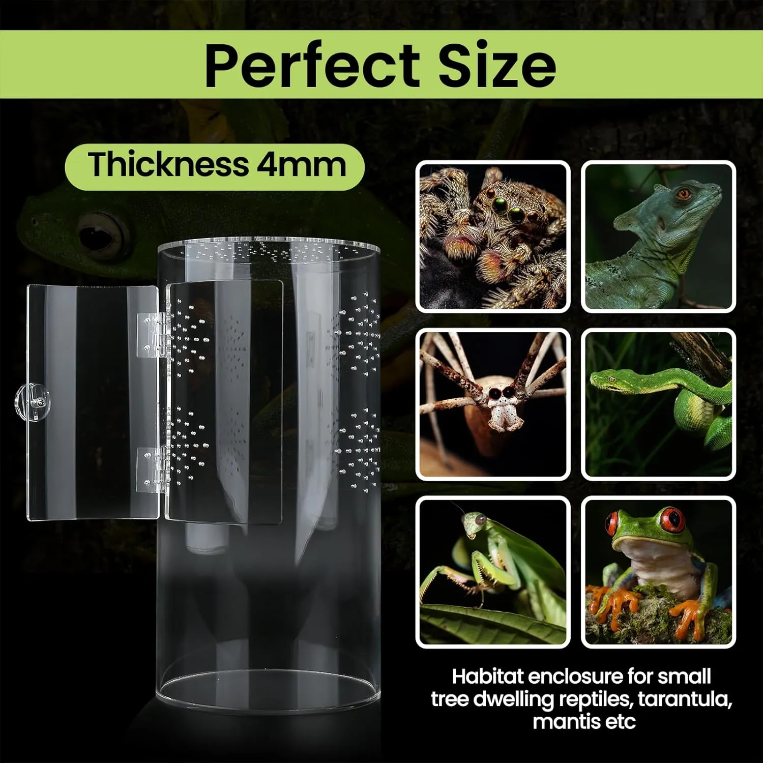 Front Opening Terrarium Jumping Spider Enclosure,Tall Arboreal Tarantula Enclosure Terrarium with Cross Ventilation,Waterproof Acrylic Reptile Enclosure (12 * 6 * 6inch)
