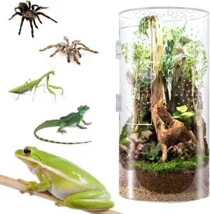 Front Opening Terrarium Jumping Spider Enclosure,Tall Arboreal Tarantula Enclosure Terrarium with Cross Ventilation,Waterproof Acrylic Reptile Enclosure (12 * 6 * 6inch)