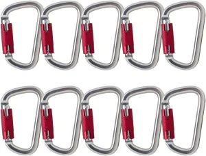 Fusion Climb Swift Auto Lock Modified D Shape Carabiner Second Generation 10-Pack