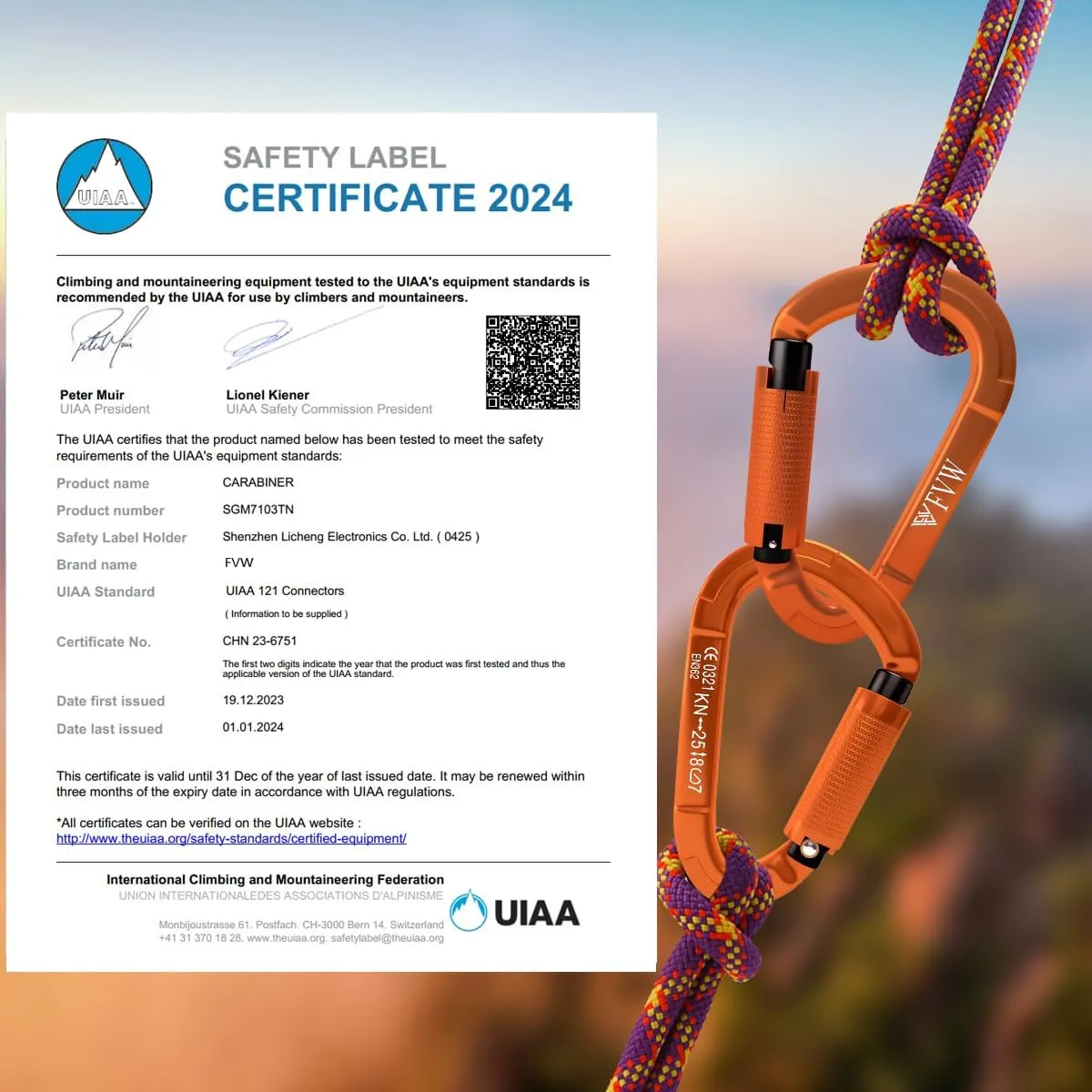 FVW Auto Locking Rock Climbing Carabiner Clips, UIAA Certified Professional 25KN (5620 lbs) Heavy Duty Caribeaners for Rappelling Swing Rescue & Gym etc,Large Carabiners,D-Shaped