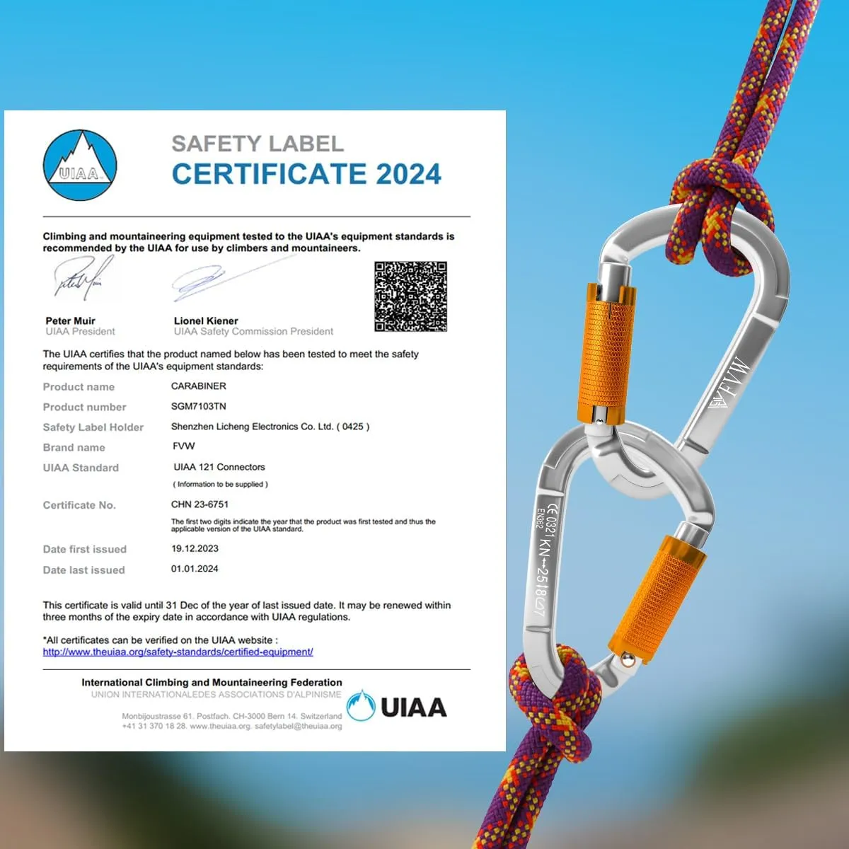 FVW Auto Locking Rock Climbing Carabiner Clips,Professional 25KN (5620 lbs) Heavy Duty Caribeaners for Rappelling Swing Rescue & Gym etc, Large D-Shaped Carabiners