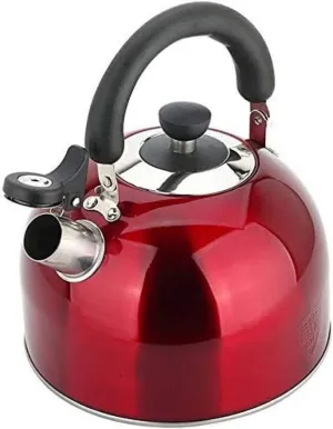 Kettle,4L Gas Stainless Steel Thicken Whistling Tea Pot for Stovetop Induction Teapot Whistling with Folding Handle Quick Boil Kettle Dignified