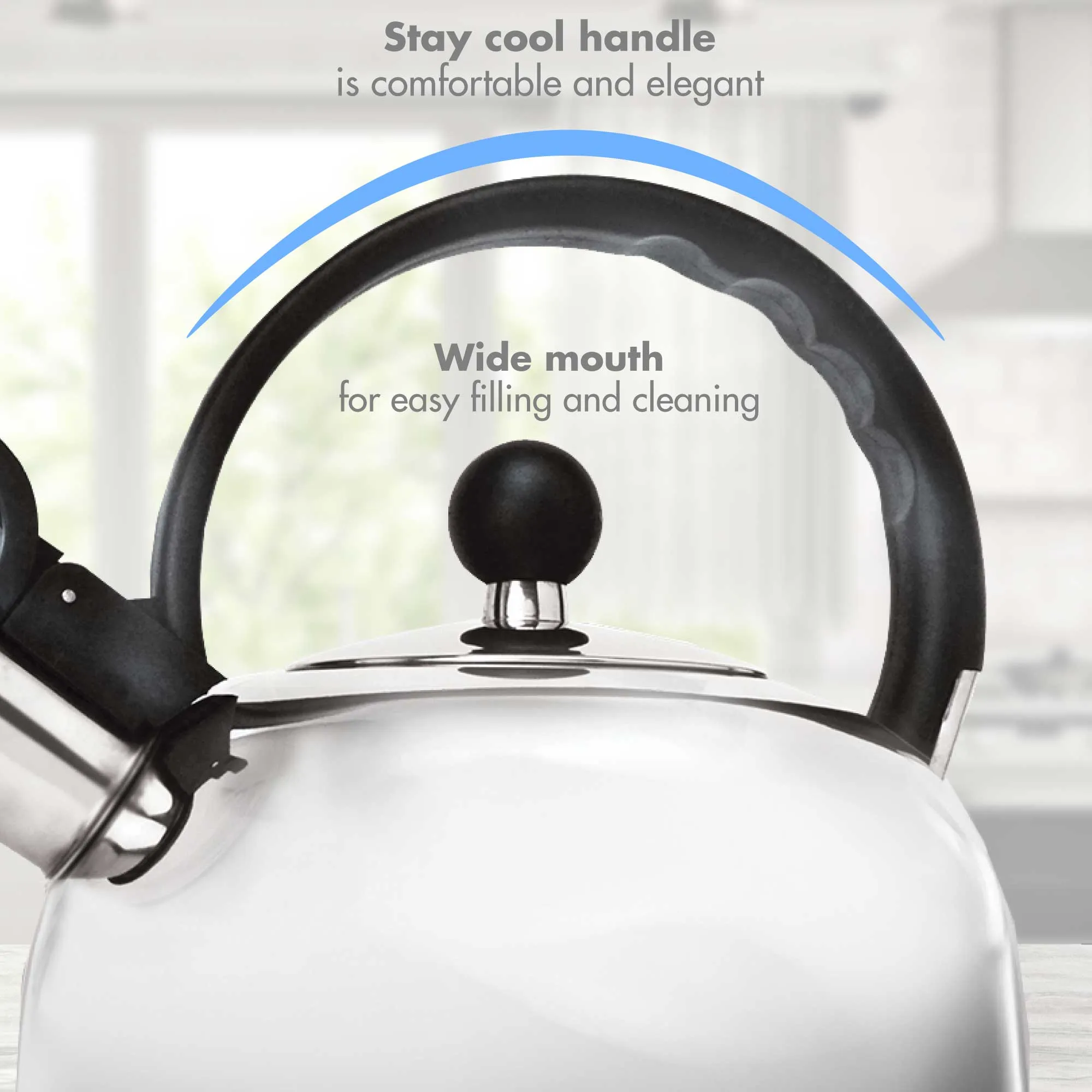Liberty Kettle, 2.5 Qt, Whistling Spout, Fast To Boil - Primula