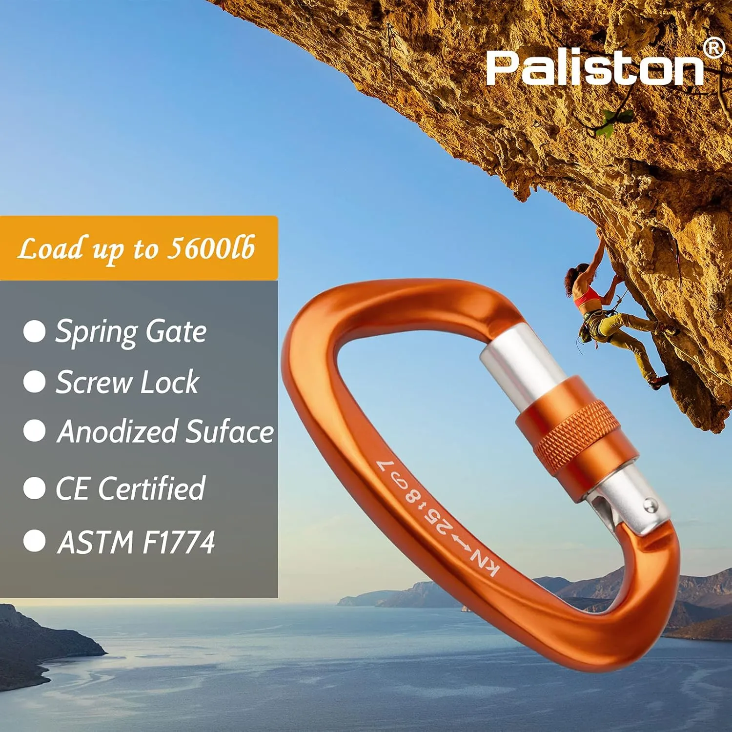 Locking Carabiner - 25kN 5600lb Climbing Carabiner Screw Gate D Shape Carabiner