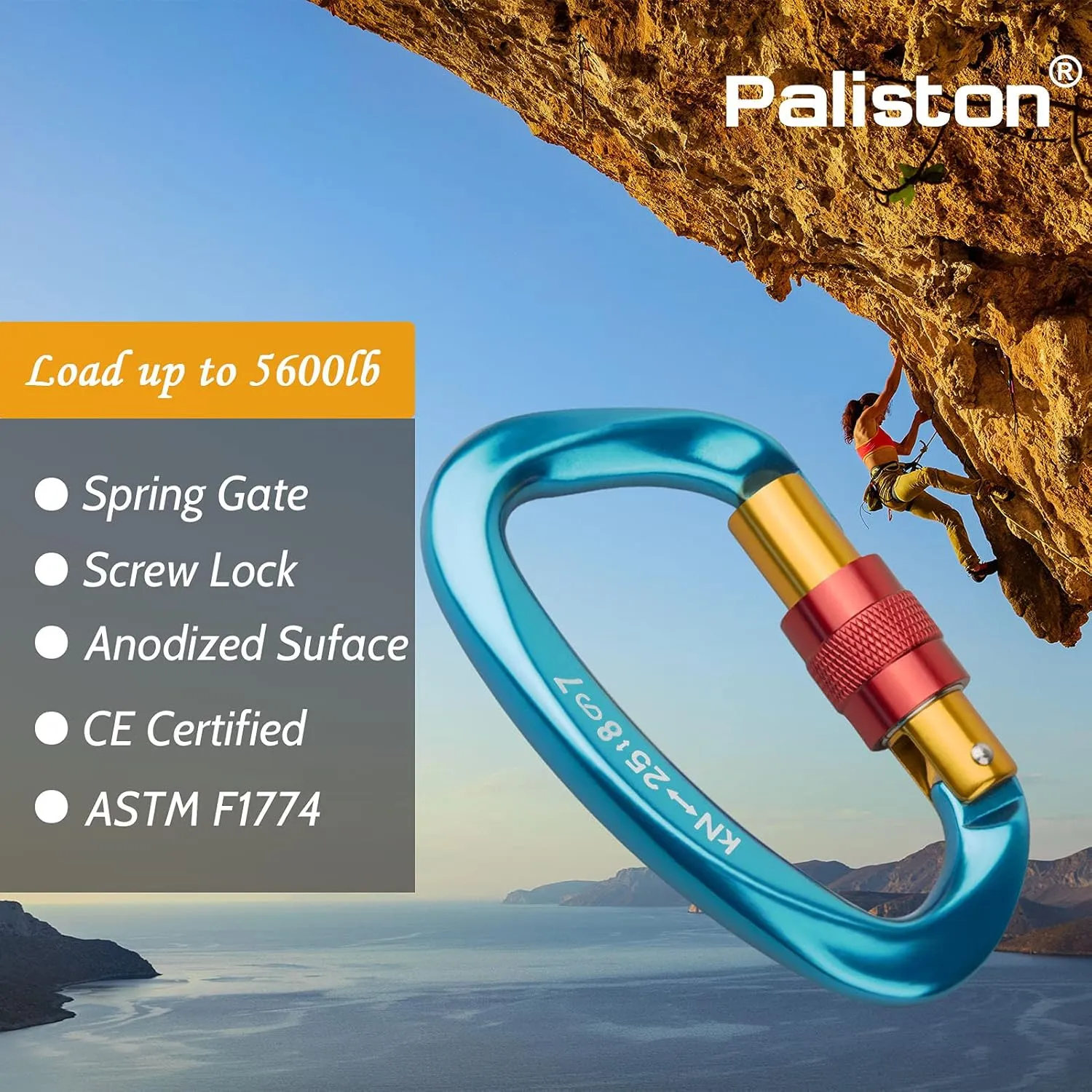 Locking Carabiner - 25kN 5600lb Climbing Carabiner Screw Gate D Shape Carabiner