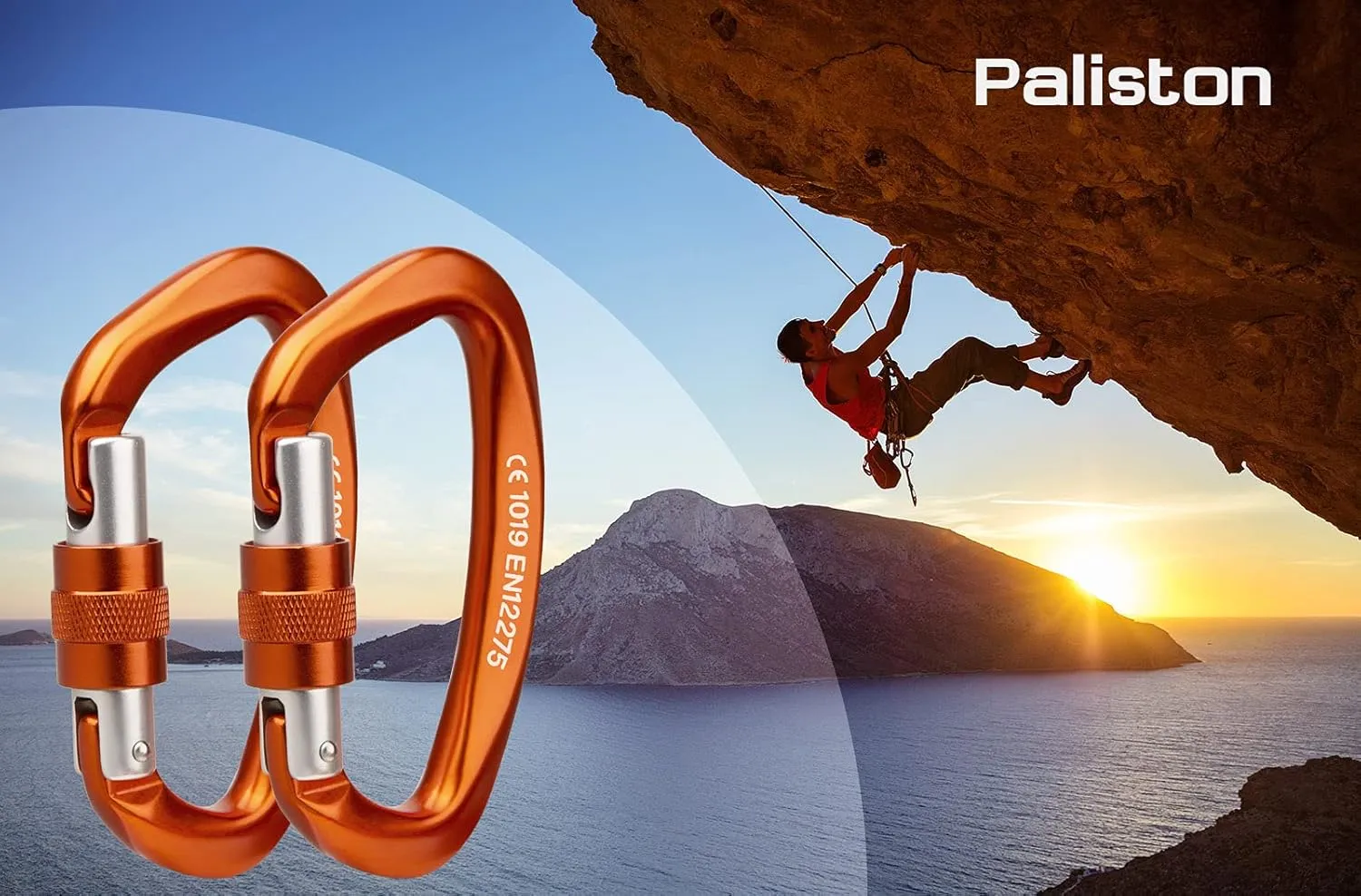 Locking Carabiner - 25kN 5600lb Climbing Carabiner Screw Gate D Shape Carabiner