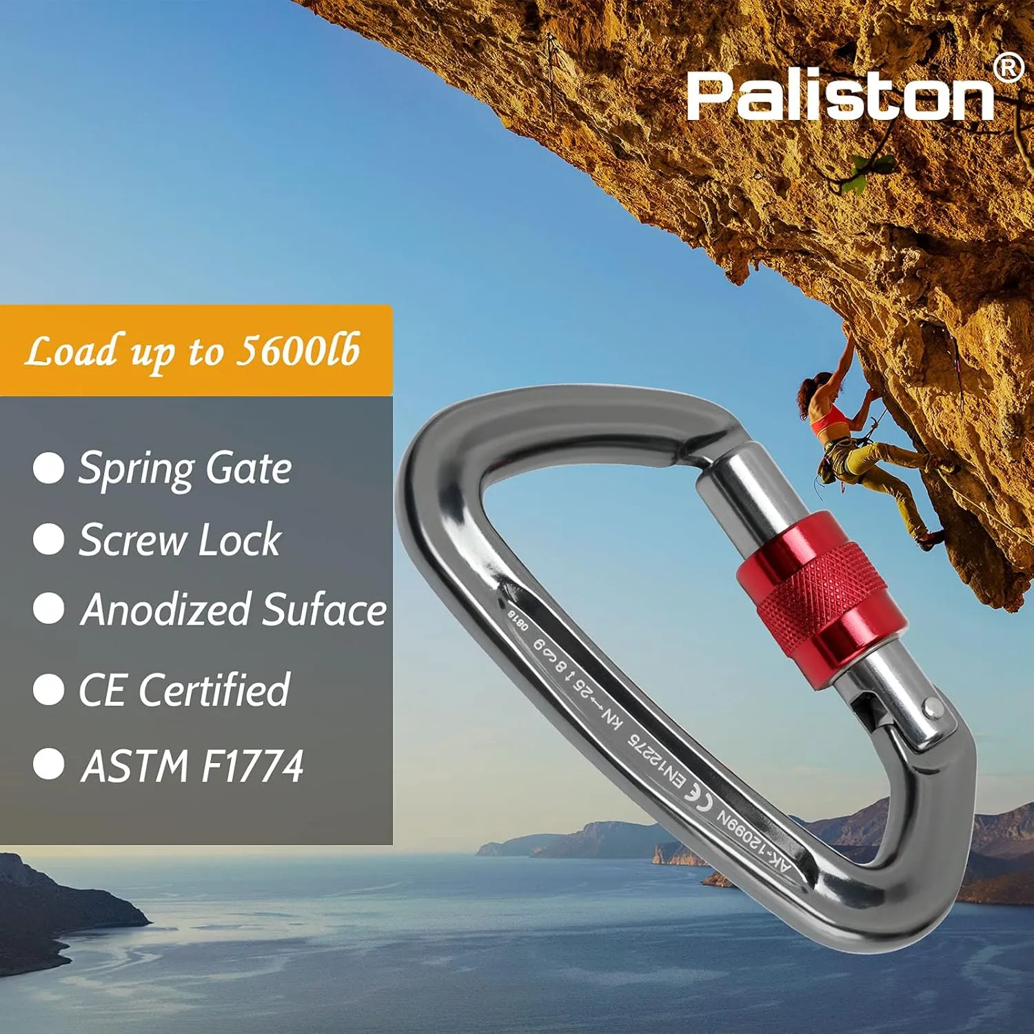 Locking Carabiner - 25kN 5600lb Climbing Carabiner Screw Gate D Shape Carabiner