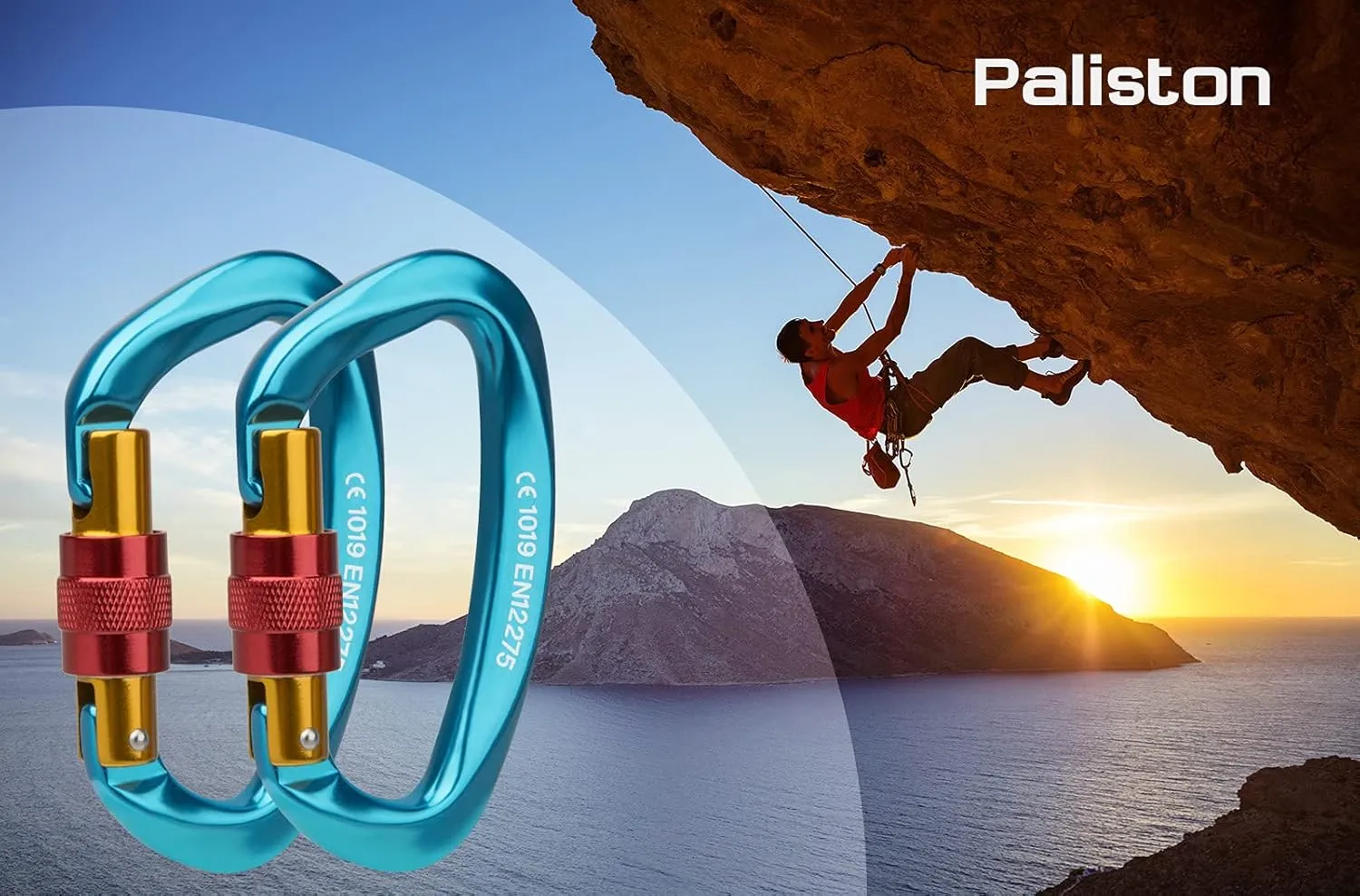 Locking Carabiner - 25kN 5600lb Climbing Carabiner Screw Gate D Shape Carabiner