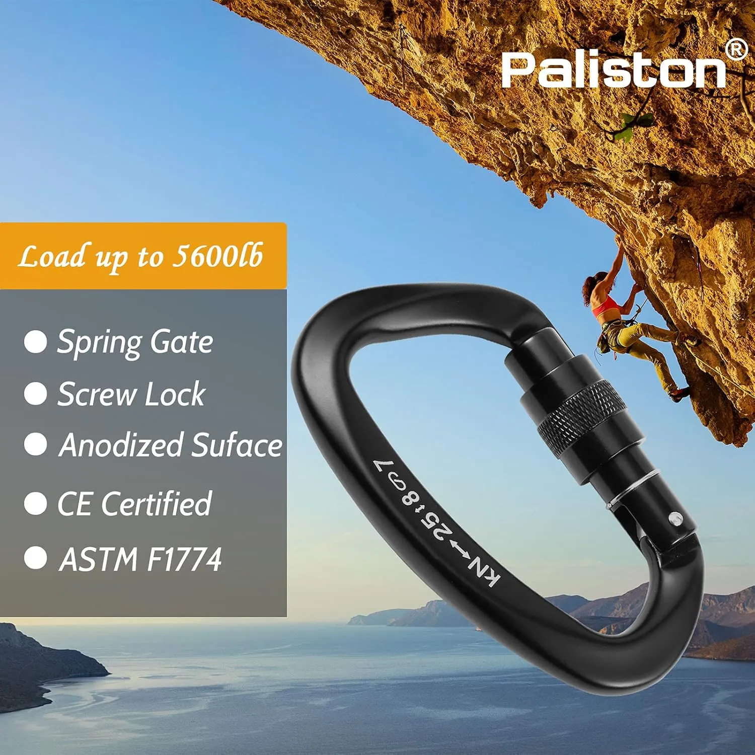 Locking Carabiner - 25kN 5600lb Climbing Carabiner Screw Gate D Shape Carabiner