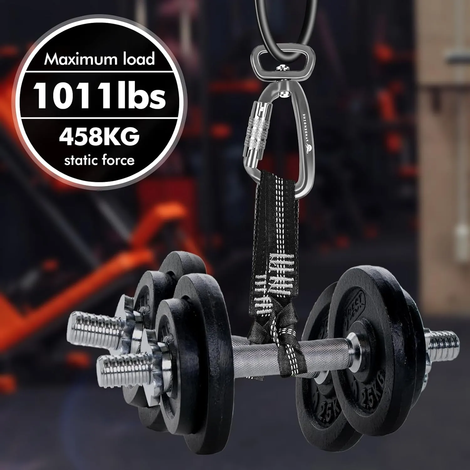 Locking Carabiner Clip 2.5" with Swivel Ring for Securing Pets, Dog Leash Harness, Camping, Hiking, Keychains