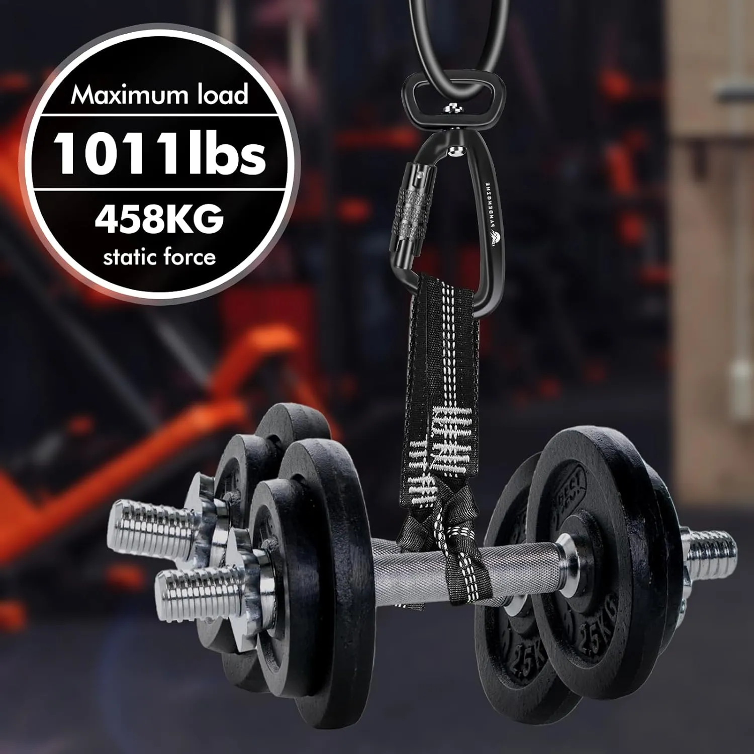 Locking Carabiner Clip 2.5" with Swivel Ring for Securing Pets, Dog Leash Harness, Camping, Hiking, Keychains