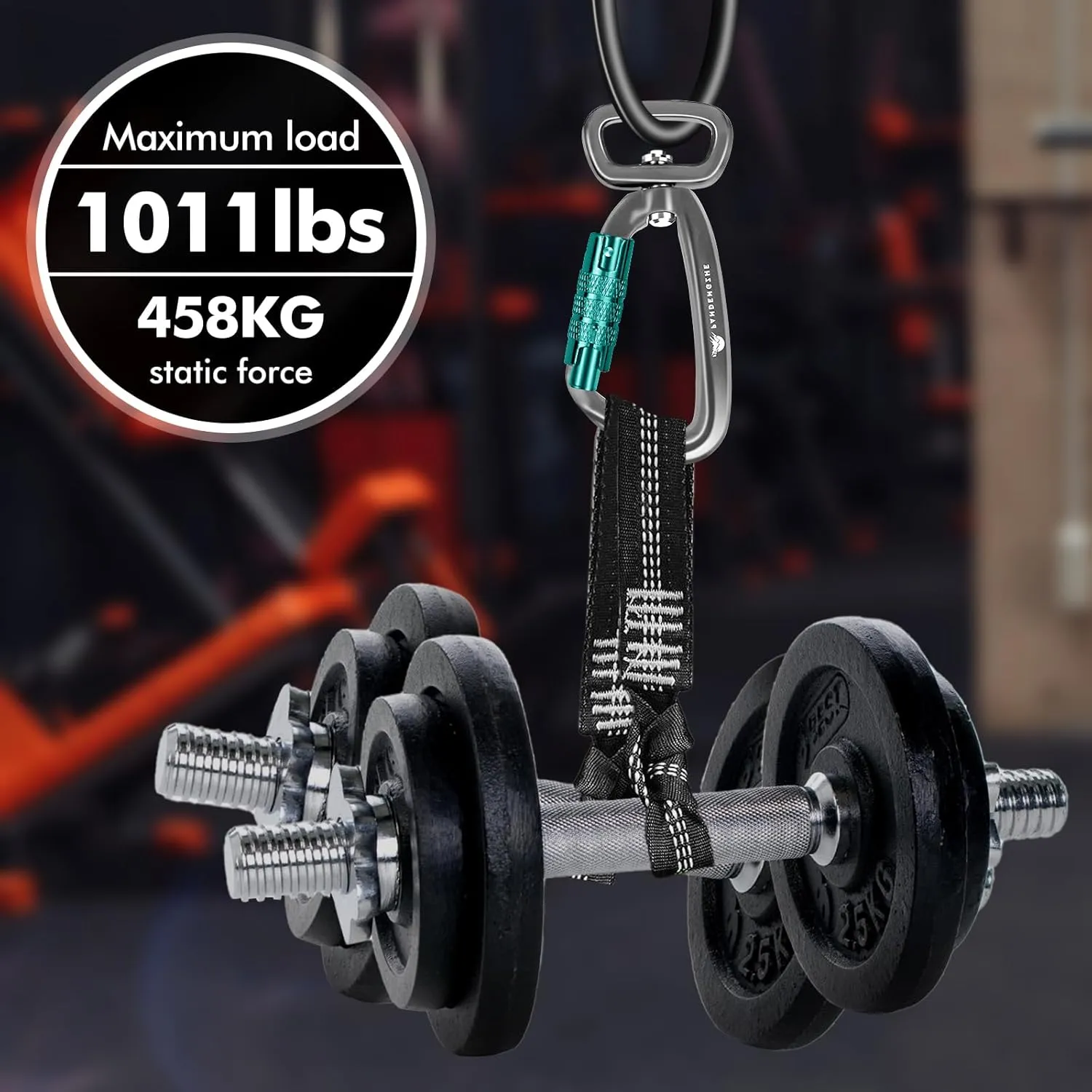 Locking Carabiner Clip 2.5" with Swivel Ring for Securing Pets, Dog Leash Harness, Camping, Hiking, Keychains
