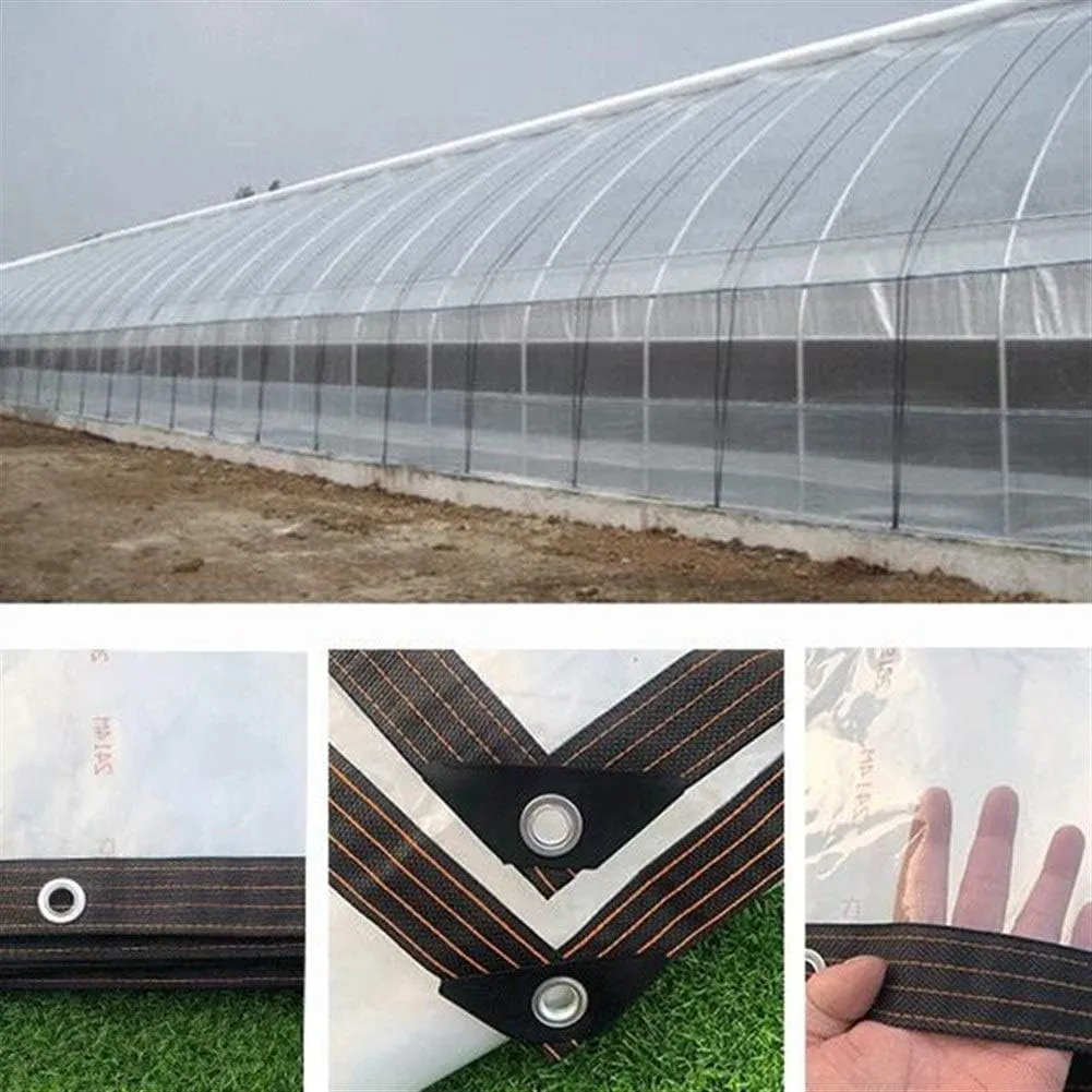 LQQ Various Size PVC Tarp Highly Transparent Rain Sail Tarp Home Garden Outdoor UV & Weather Resistant Vinyl Coated Tarpaulin Customized Size (Color : 2m by 4m)