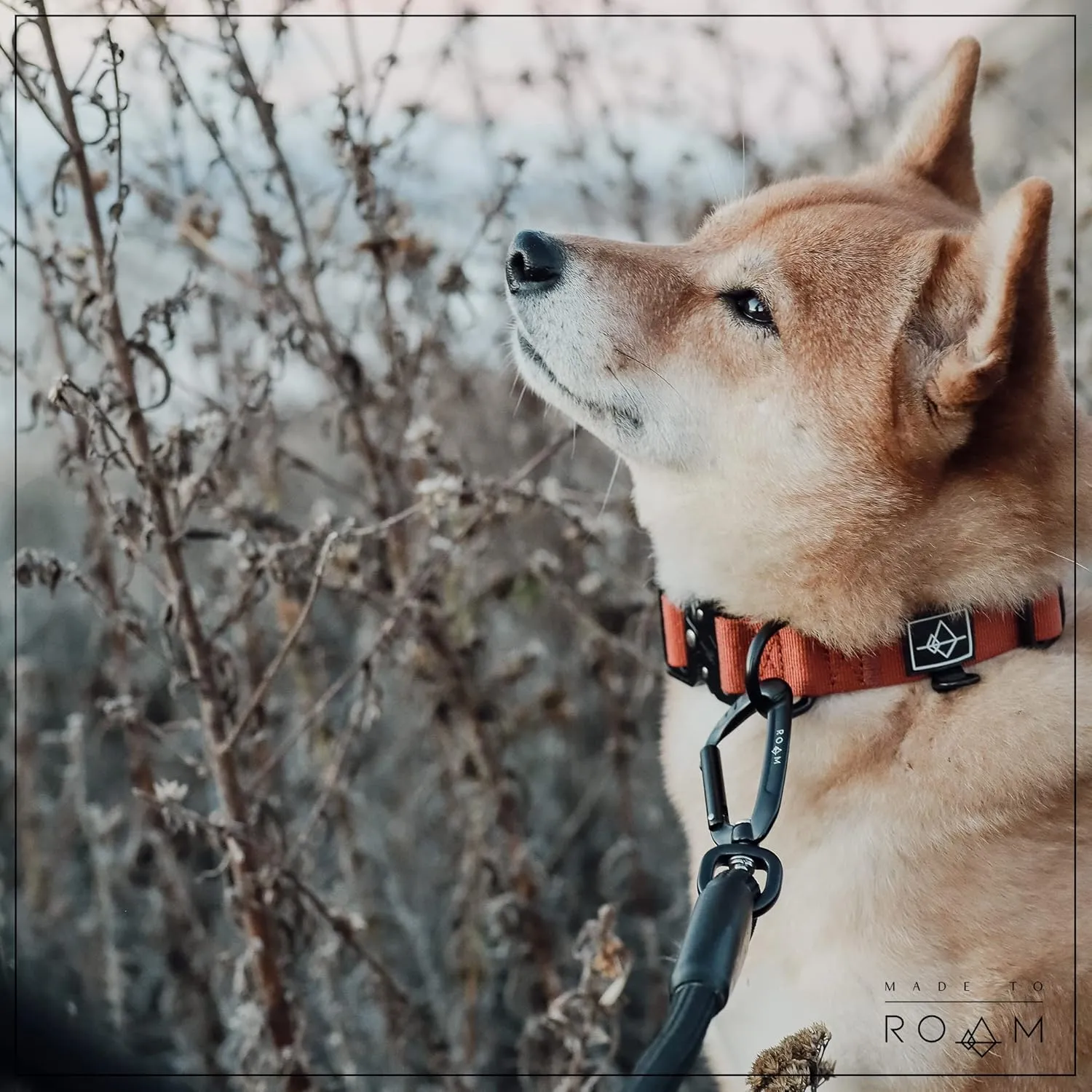 MADE TO ROAM Premium Everyday Leash - Ultra Soft Dog Leash with Aviation Aluminum Carabiner for Small, Medium, Large Dogs - Oregon Haze, 4ft (Metal Clamps)