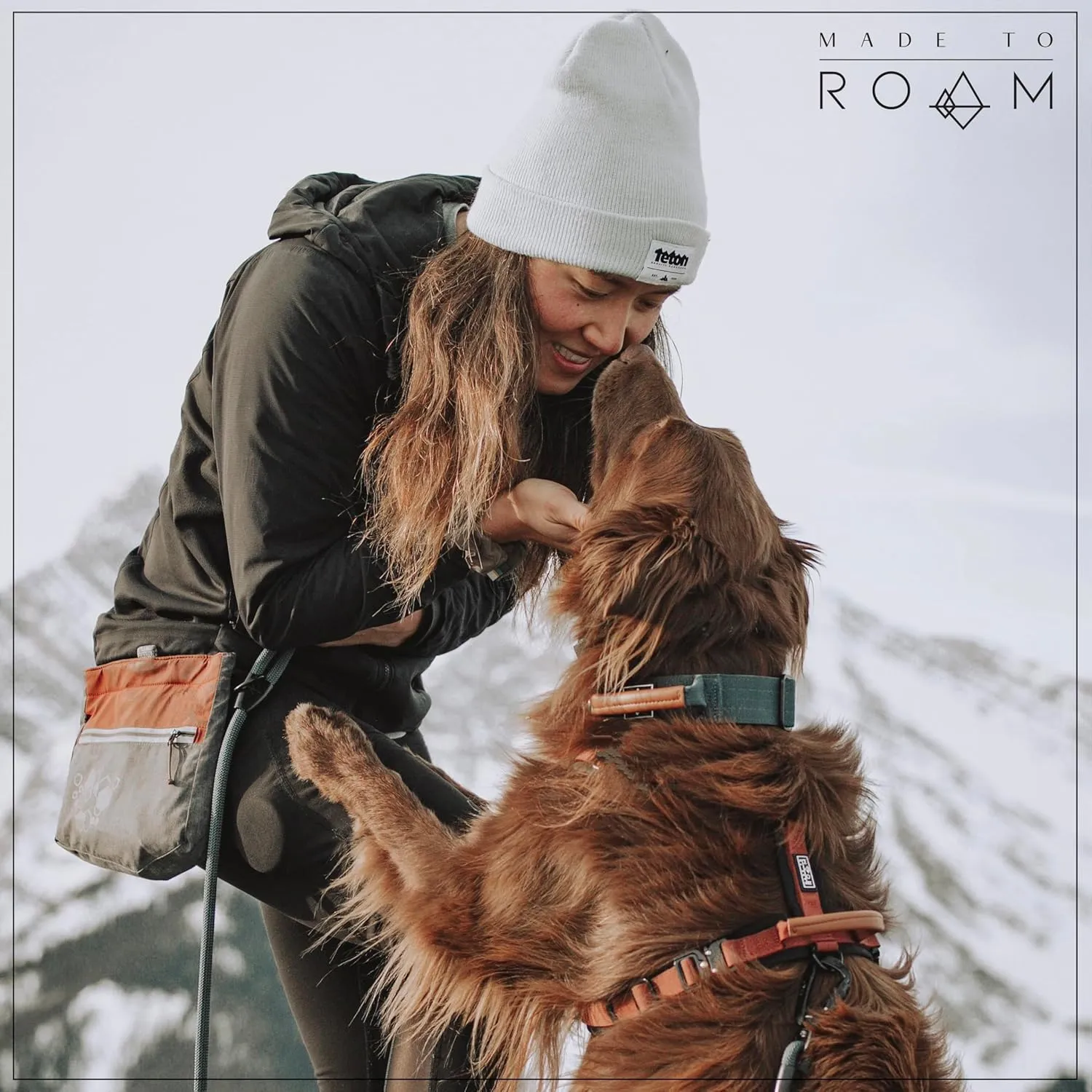 MADE TO ROAM Premium Everyday Leash - Ultra Soft Dog Leash with Aviation Aluminum Carabiner for Small, Medium, Large Dogs - Oregon Haze, 4ft (Metal Clamps)
