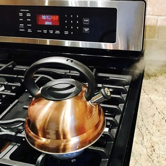 Modern Stainless Steel Whistling Tea Pot with Cool Grip Ergonomic Handle