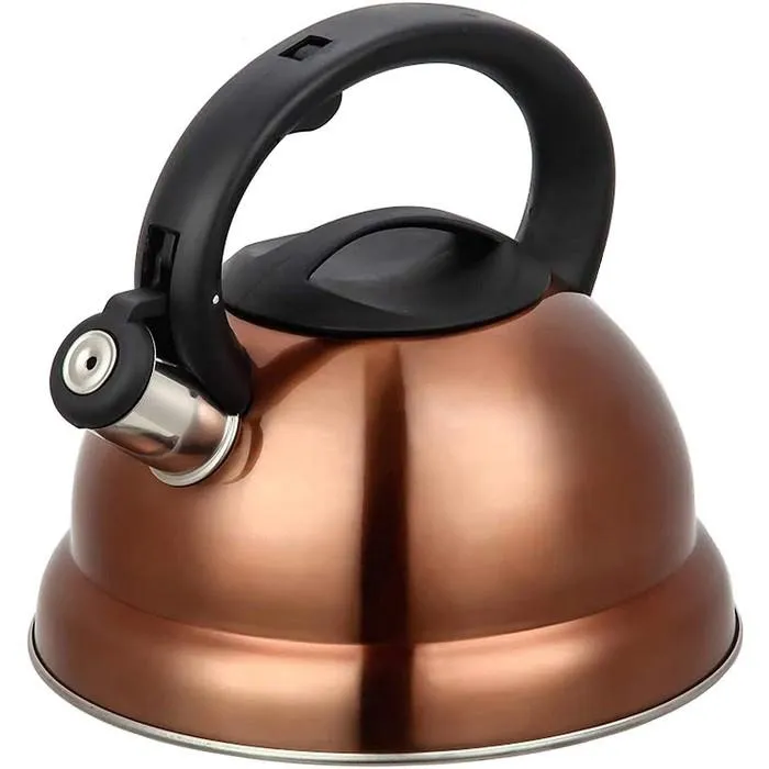 Modern Stainless Steel Whistling Tea Pot with Cool Grip Ergonomic Handle