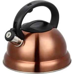 Modern Stainless Steel Whistling Tea Pot with Cool Grip Ergonomic Handle