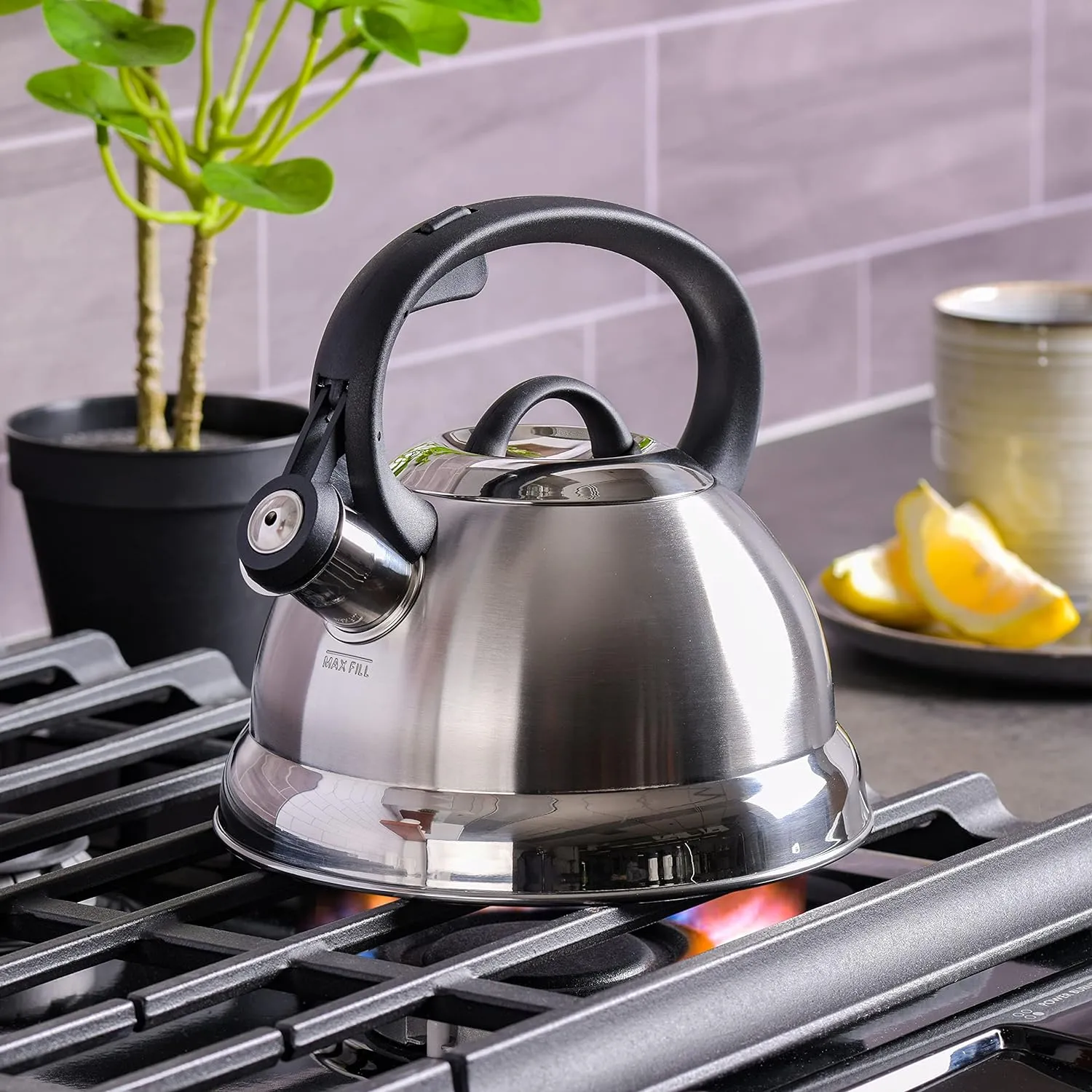 Mr. Coffee Flintshire Stainless Steel Whistling Tea Kettle, 1.75-Quart, Brushed Satin
