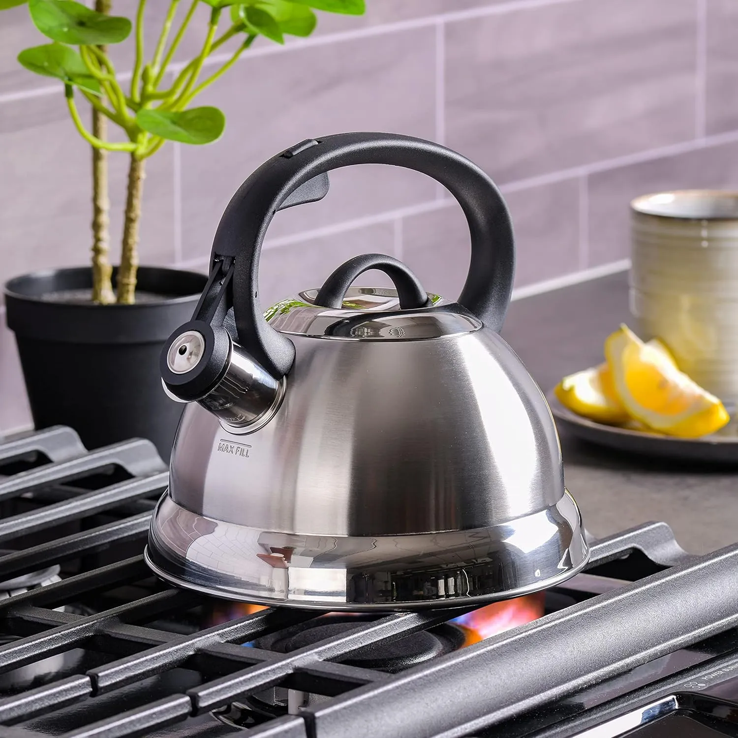 Mr. Coffee Flintshire Stainless Steel Whistling Tea Kettle, 1.75-Quart, Brushed Satin