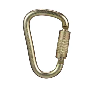 MSA 10089207 Carabiner - Gate Opening: 1" (25mm), Length: 4.803", Lock Type: Auto-Locking With Pin, Material: Steel, Color: Bare Aluminum, Shape: Asymmetric D-Shape, Durable