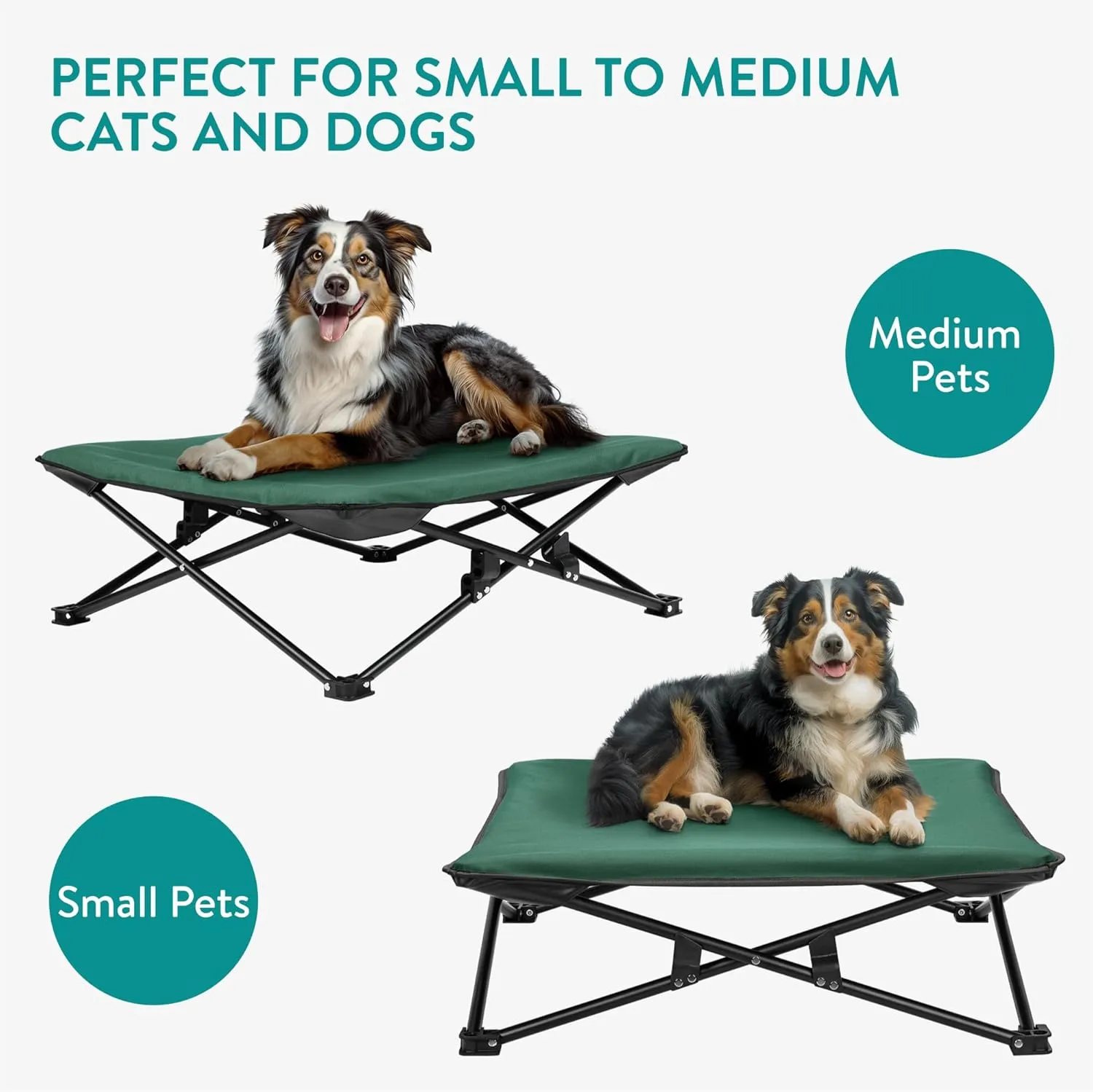 Navaris Portable Elevated Dog Bed with Carry Bag - Medium Raised Dog/Cat Bed for Outdoor Travel Camping Off The Floor Hammock Chair Suitable for 33lbs (15kg)