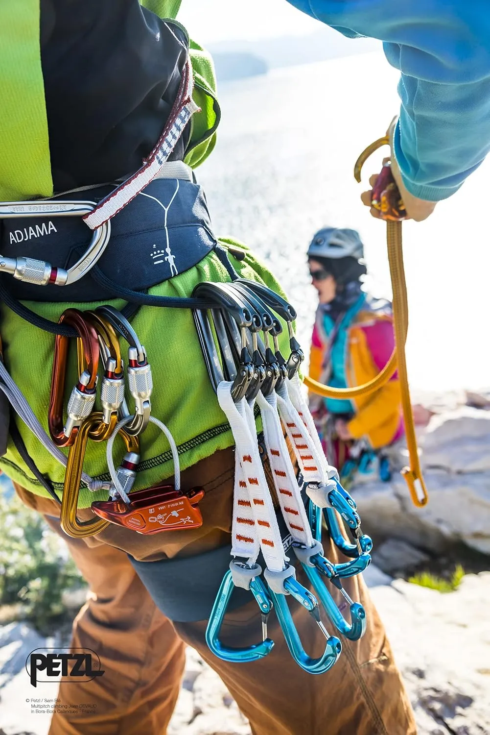 Petzl Sm'D Carabiner - Versatile, Lightweight, Compact, D-Shaped Locking Carabiner for Rock and Ice Climbing