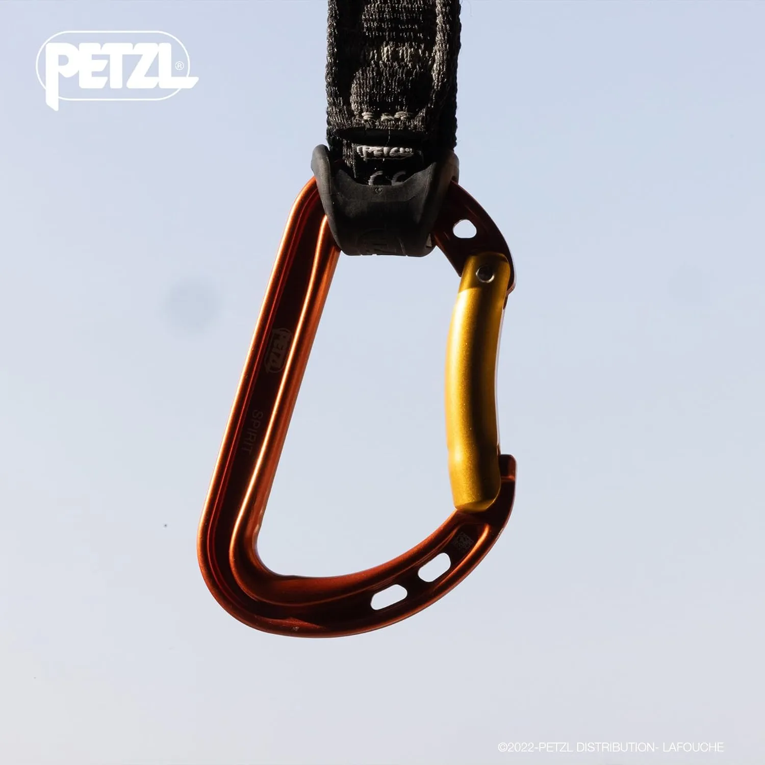 PETZLLight and Multipurpose Postponement