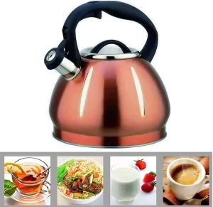 stove top kettle Camping Kettle Stovetop Kettles Teapot Household Whistle Stove Kettle 304 Stainless Steel Stove Top, Ho
