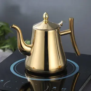 Taavita Induction Kettle with Filter – Stainless Steel Kettle